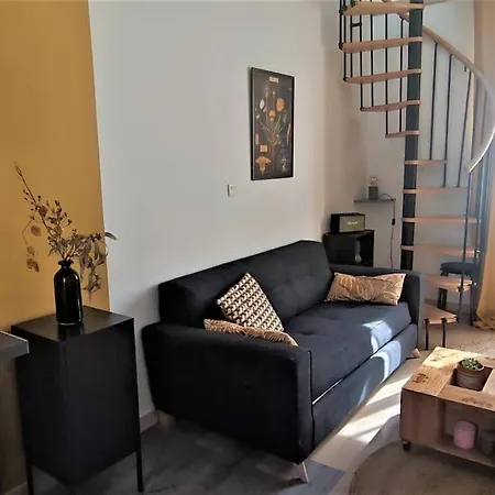Duplex Canal Du Midi Апартаменты Тулуза