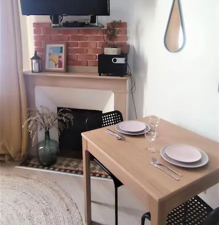 Duplex Canal Du Midi Appartement Toulouse