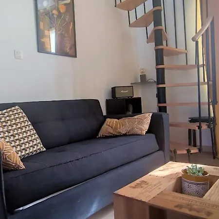 Duplex Canal Du Midi Appartement