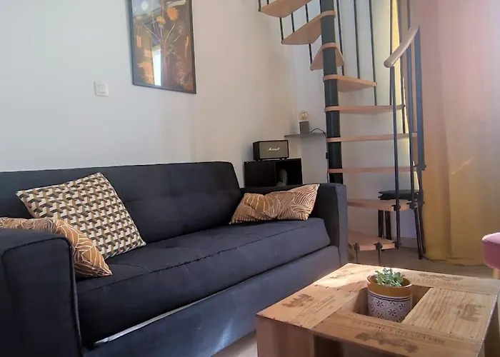 Duplex Canal Du Midi Apartament